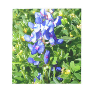 Bloc-note BlueBonnet de TEXAS