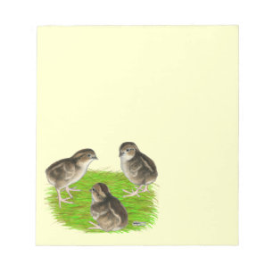 Bloc-note Bobwhite Quail