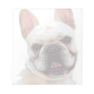 Bloc-note Bouledogue français