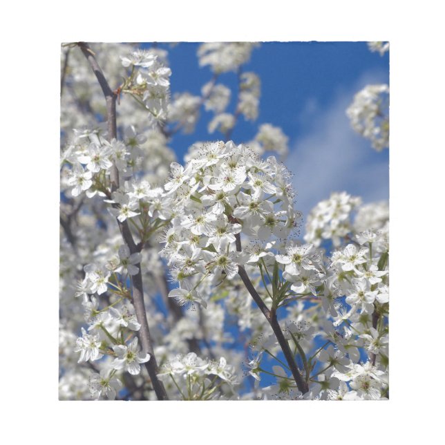Bloc-note Bradford Pear Blooms (Devant)