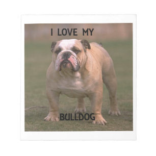 Bloc-note bulldog fae et blanc amour avec pic