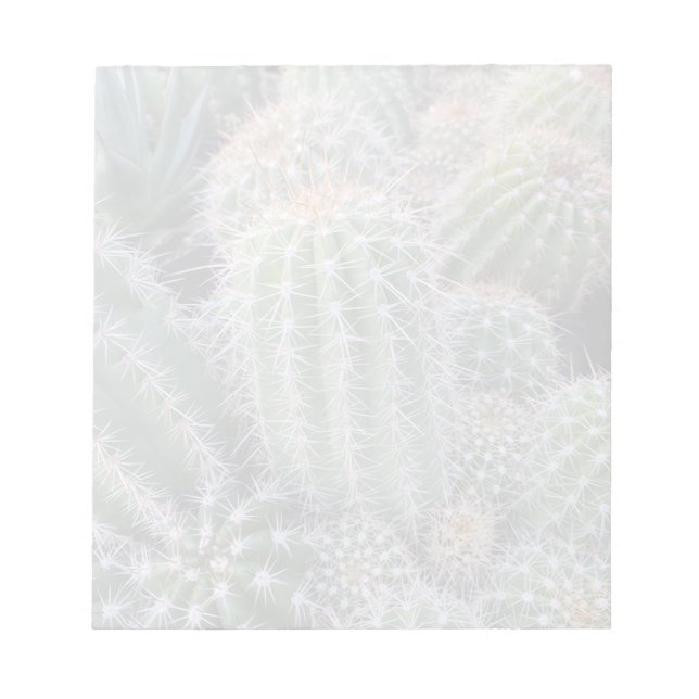 Bloc-note Cactus Notepad (Devant)