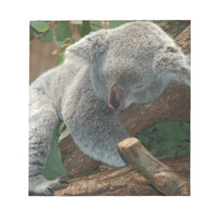 Bloc-note Cadeaux de destin d'animaux d'amour d'ours de koal