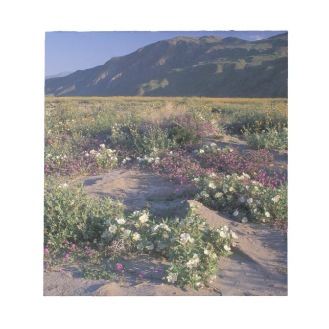 Bloc-note Californie, Désert d'Anza-Borrego SP, Sable (Devant)