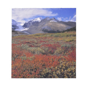 Bloc-note Canada, Alberta, Parc national de Banff. Les airel
