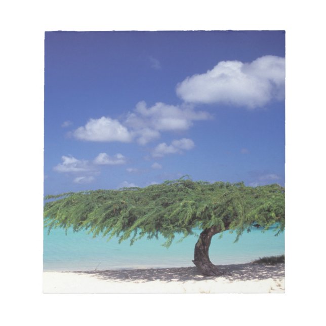 Bloc-note Caraïbes, Aruba. Plage Eagle (Devant)