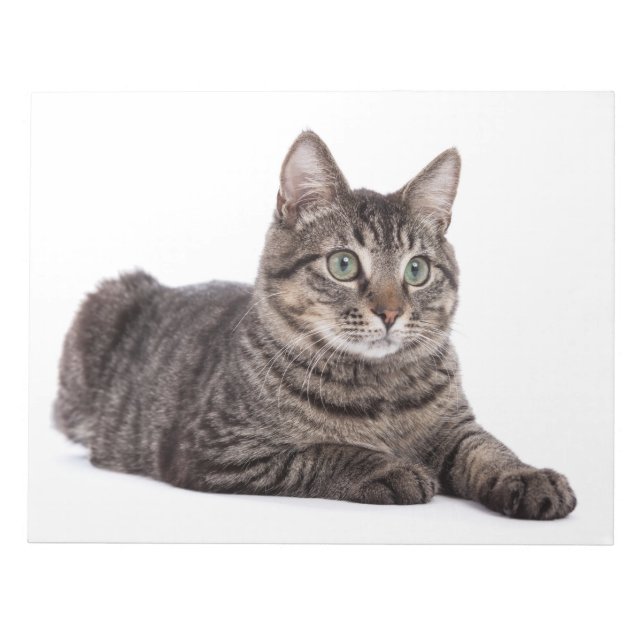 Bloc-note Cat (Devant)