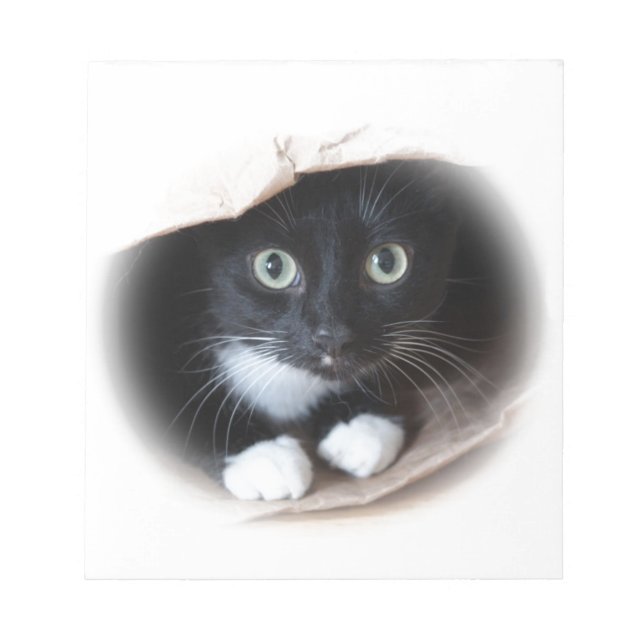 Bloc-note Cat (Devant)