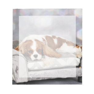 Bloc-note Cavalier King Charles Spaniel - Remington