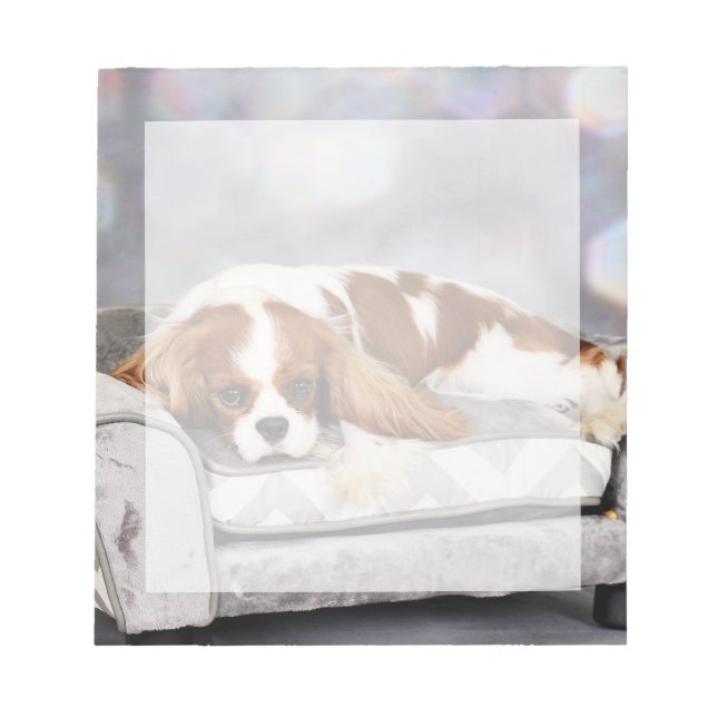 Bloc-note Cavalier King Charles Spaniel - Remington (Devant)