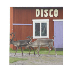 BLOC-NOTE CERFS COMMUNS DE DISCO