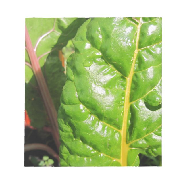 Bloc-note Chaînes suisses (Devant)