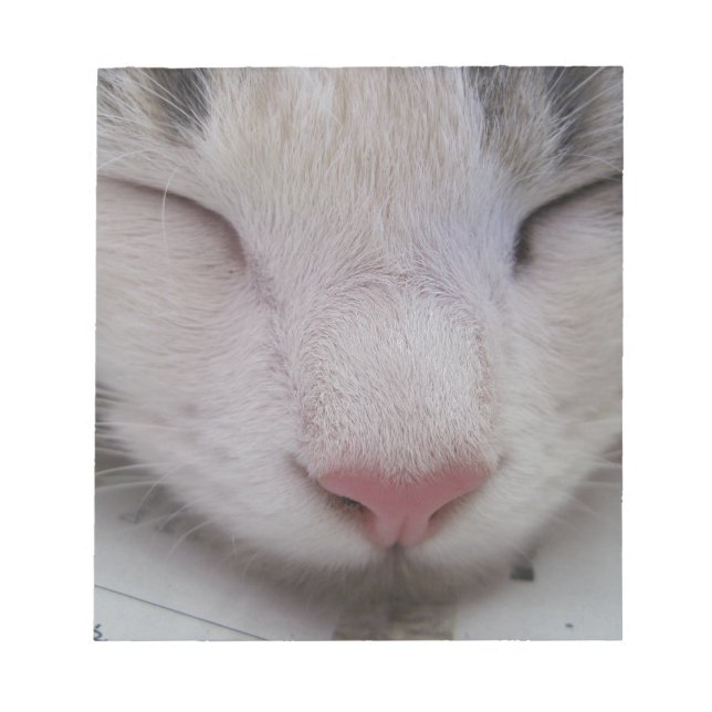 Bloc-note Chat couché (Devant)