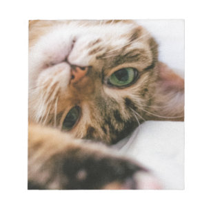 Bloc-note chat ludique