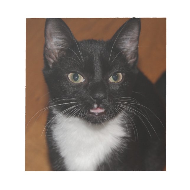 BLOC-NOTE CHAT NOIR ET BLANC (Devant)
