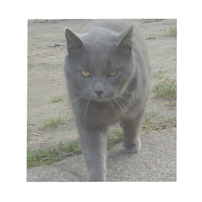 Bloc-note Chats (Devant)