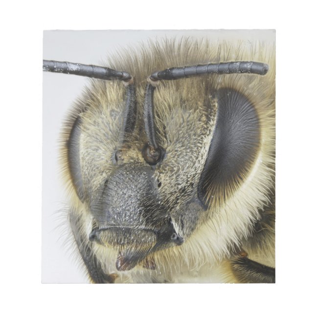 Bloc-note Chef d'abeille (Devant)