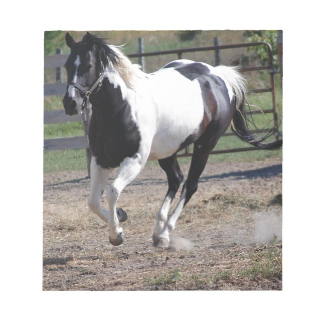Bloc-note Cheval Pinto Paint (Devant)