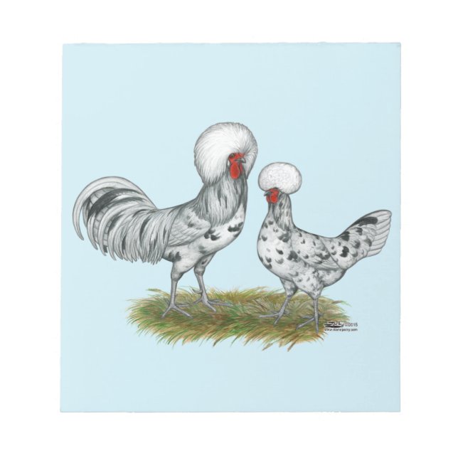 Bloc-note Chickens de Polish (Devant)
