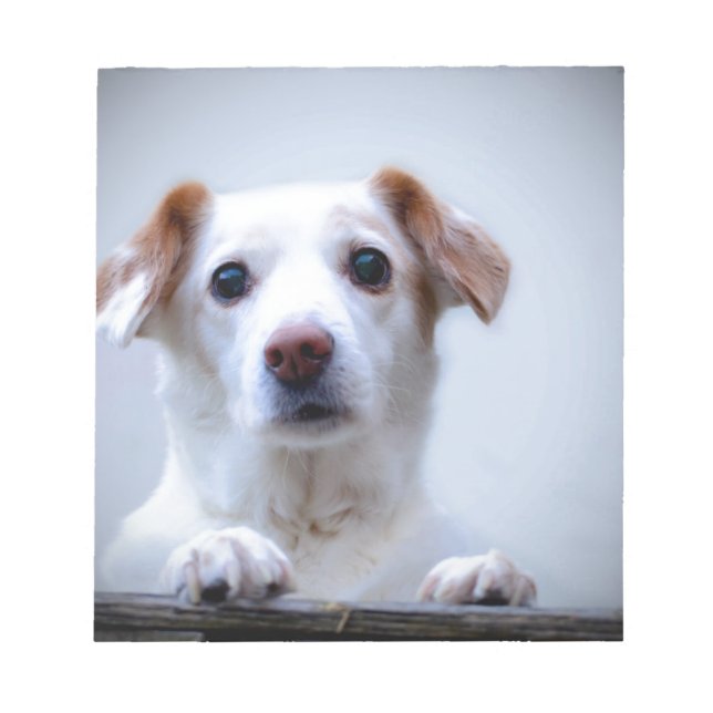 Bloc-note Chien blanc. Une telle mignonne. (Devant)