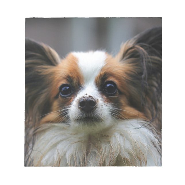 Bloc-note Chien de papillon mou (Devant)