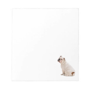 Bloc-note Chien mignon blanc taureau