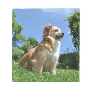 Bloc-note Chien mignon dans l'herbe