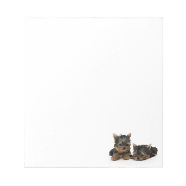 Bloc-note Chiots du Yorkshire Terrier (Devant)