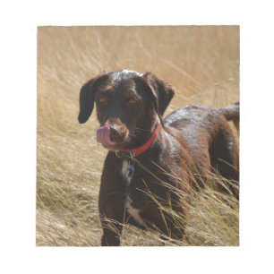 Bloc-note Chocolat Brown Labrador Retriever