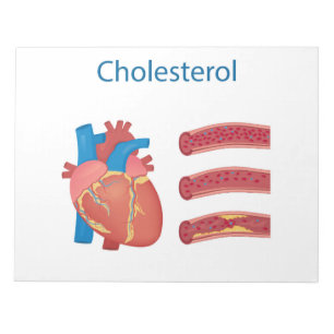 Bloc-note Cholestérol