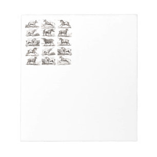 Bloc-note Classique Unicorne Antique Mythique Magie Créature