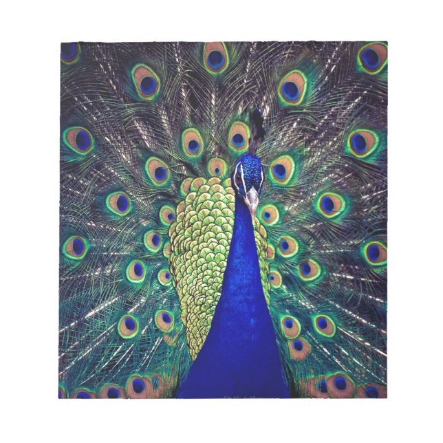Bloc-note Cobalt Blue Peacock (Devant)