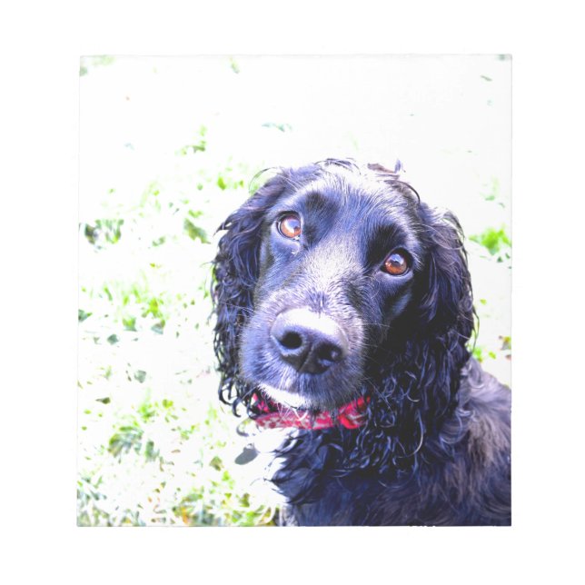 Bloc-note Cocker Spaniel (Devant)