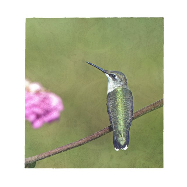 Bloc-note Colibri et Zinnia (Devant)