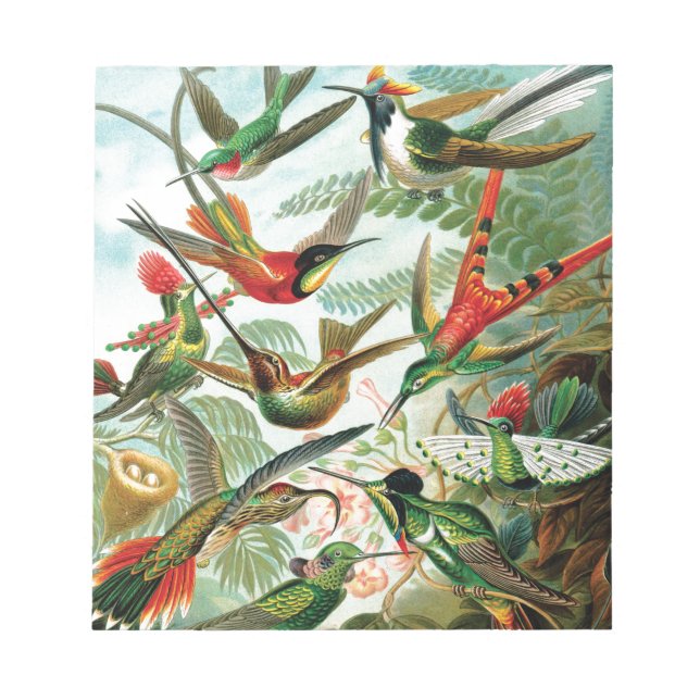Bloc-note Colibri par Ernst Haeckel (Devant)