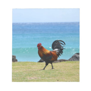 Bloc-note coq de Kauai