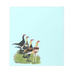 Bloc-note Coqs Modern Game