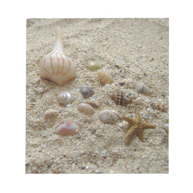 Bloc-note Coquillages Dans Le Sable (Devant)