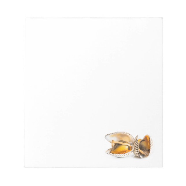 Bloc-note Coquille (Devant)