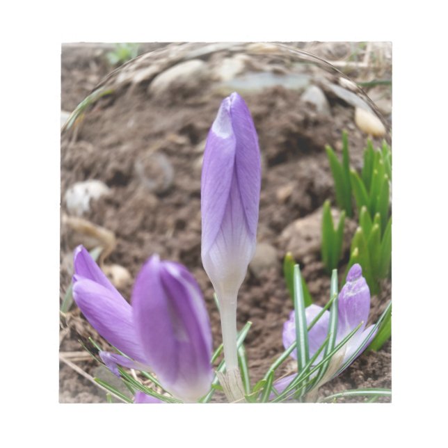 Bloc-note Crocus printaniers (Devant)