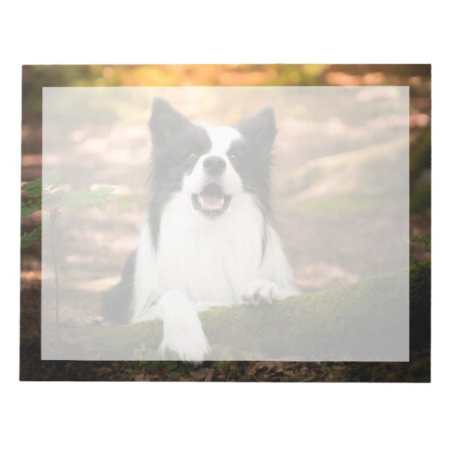 Bloc-note Cutest Baby Animals | Black and White Border Colli (Devant)