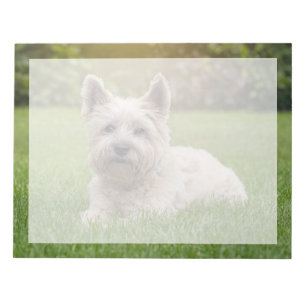 Bloc-note Cutest Baby Animals Cairn Terrier Dog