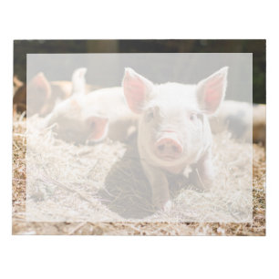 Bloc-note Cutest Baby Animals Cute Baby Piglet