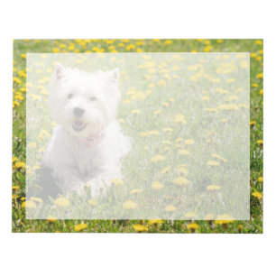 Bloc-note Cutest Baby Animals   Westie Dog in Dandelions
