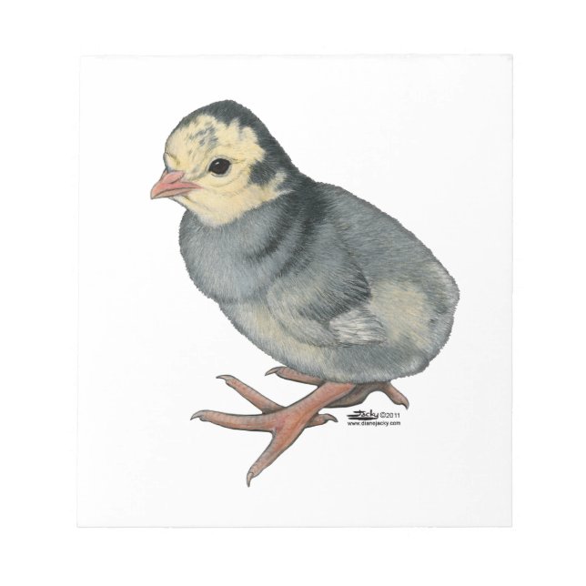 Bloc-note Dindeau Blue Slate (Devant)