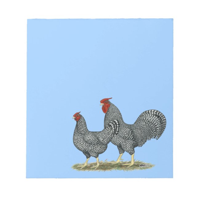 Bloc-note Dominique Chickens (Devant)