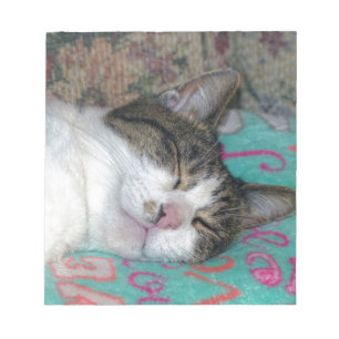 Bloc-note Dormir de miel