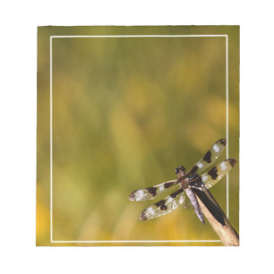 Bloc-note Dragon Fly