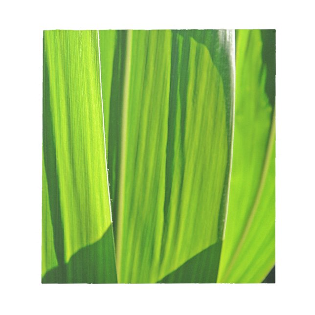 Bloc-note Drei grüne Maisblätter (Devant)