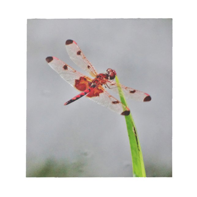 BLOC-NOTE DSC00029.JPG (Devant)